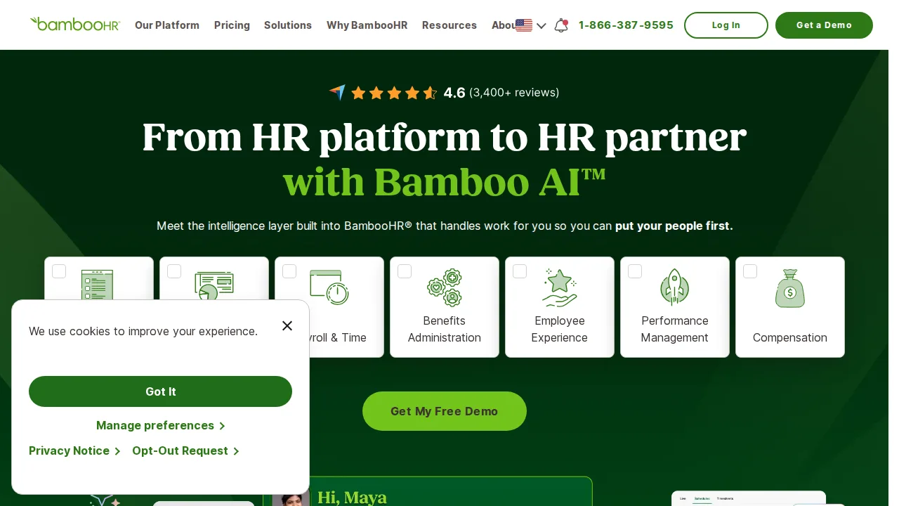 BambooHR Product interface (marketing site capture)
