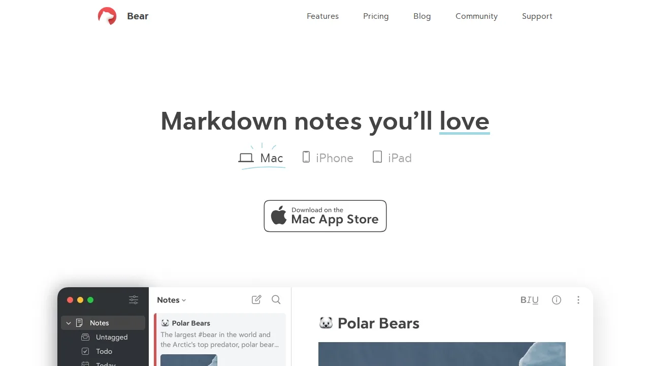 Bear Ürün arayüzü (site ekran görüntüsü)