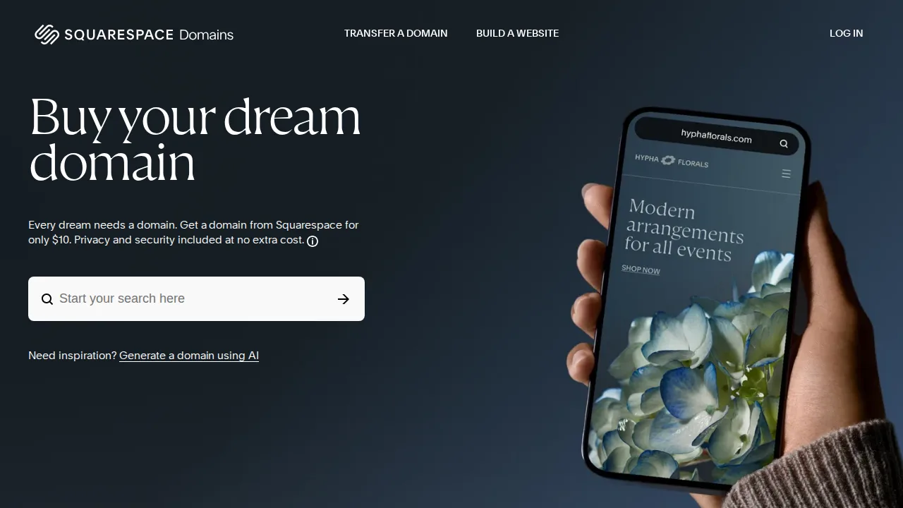 Google Domains (Squarespace) Product interface (marketing site capture)